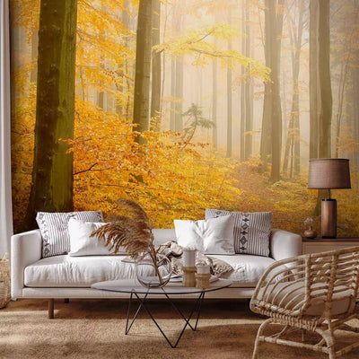 Wall Murals with autumn forest - Autumn Forest, 59846