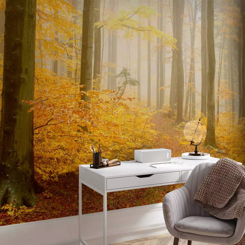 Wall Murals with autumn forest - Autumn Forest, 59846