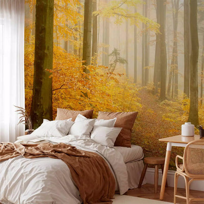 Wall Murals with autumn forest - Autumn Forest, 59846