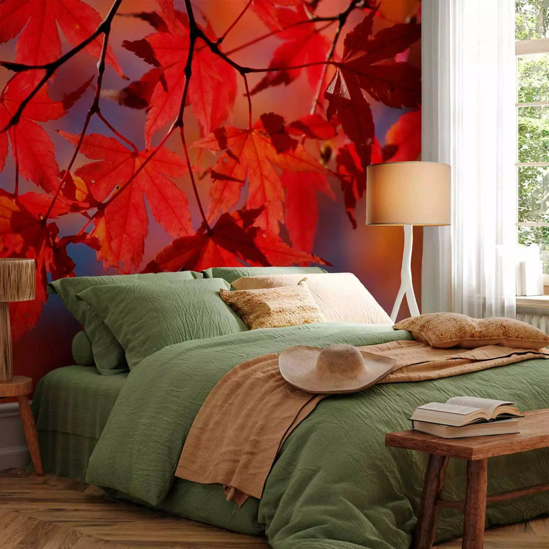 Wall Murals with autumn leaves - Japanese Maple, 59925