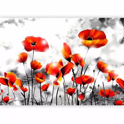 Wall Murals with red poppies - destruction, 60404