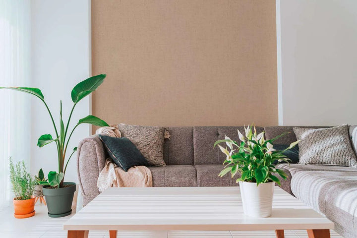 Vienkrāsainas tapetes ar smalku tekstūru un matētu apdari | brūnā - 3012144