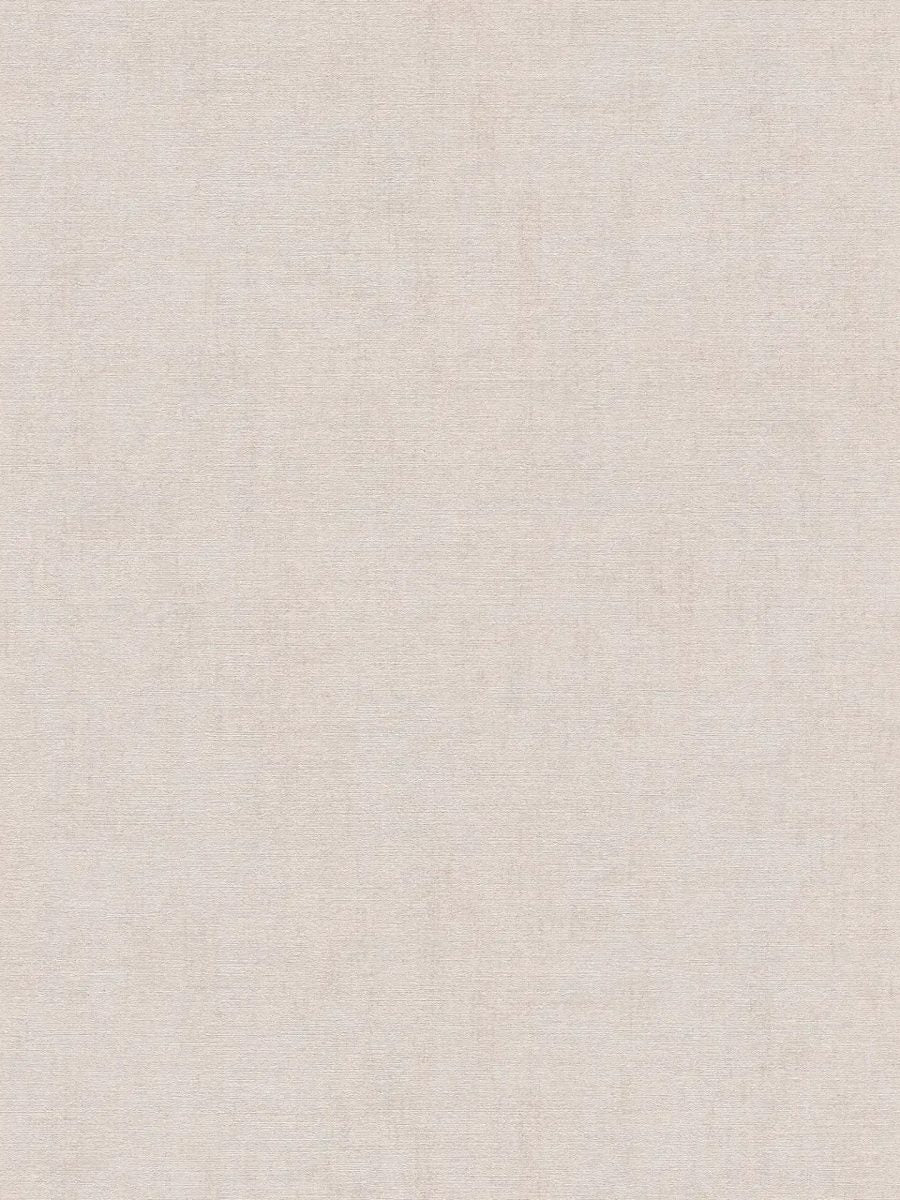 Plain wallpaper with a subtle texture | warm gray/beige tones - 3012145