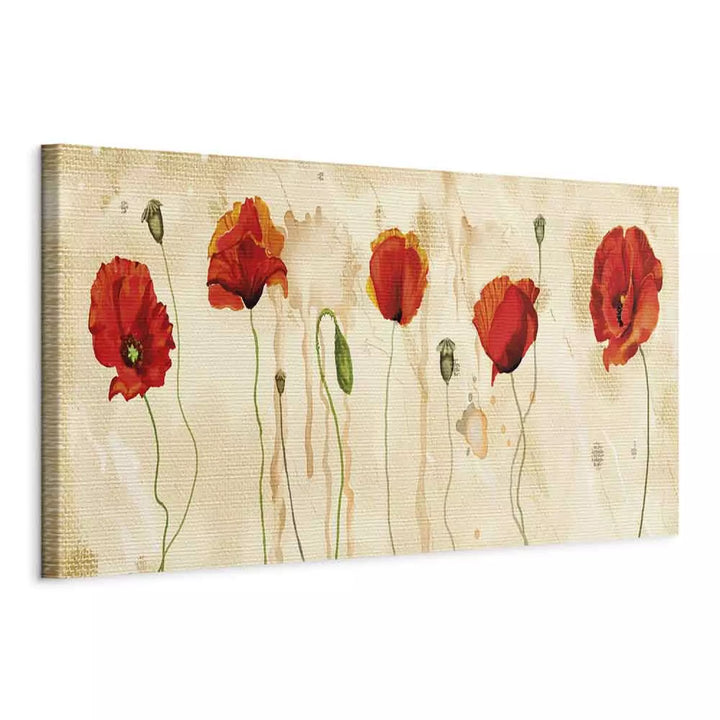 Kanva - Magones uz bēša fona - Magoņu asaras, 90480, (x1)