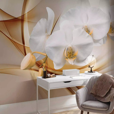 Wall Murals 61797 Flowering orchid