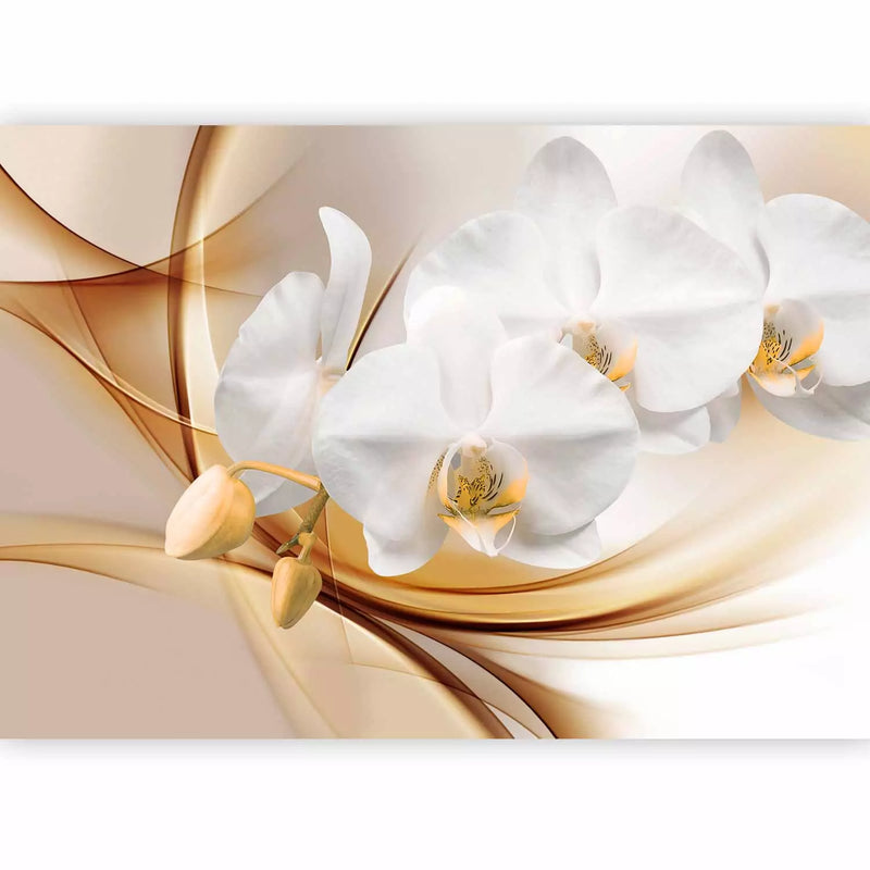 Wall Murals 61797 Flowering orchid