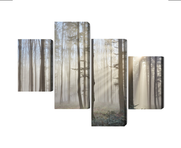 Kanva - Saullēkts mežā, N-1855