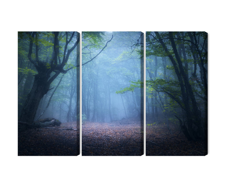 Kanva - Meža ainava miglā 3D, N-1909