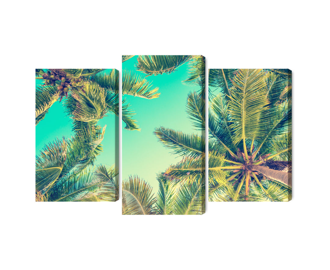 Kanva - Palmu koku skats no apakšas, N-2015