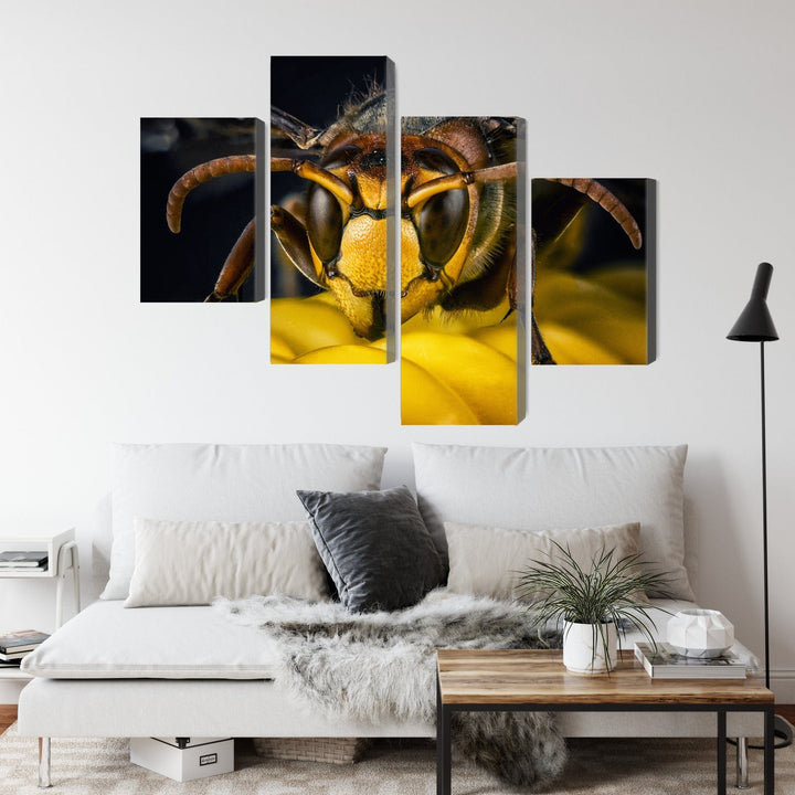 Canva - Macroscale wasp, N-3676