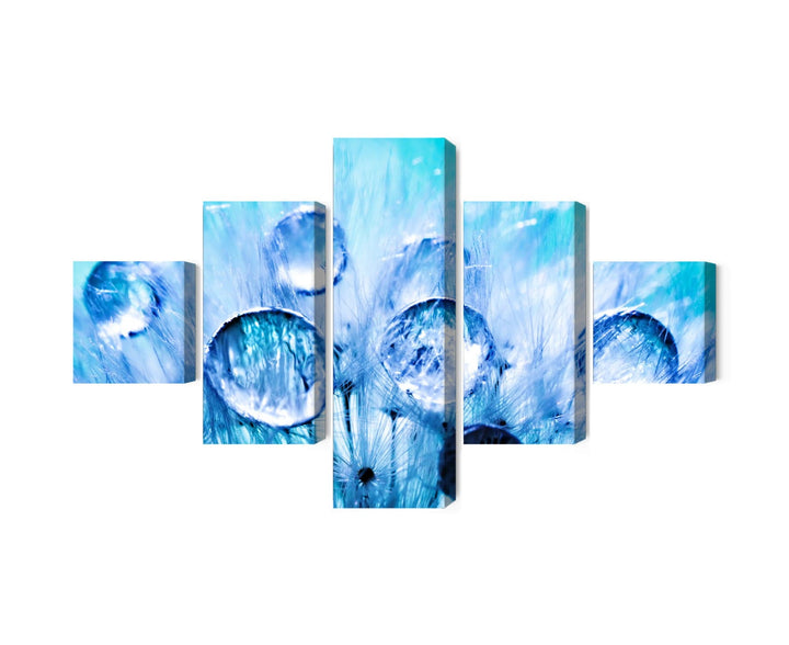 Canva - Dew drops on dandelion seeds, macro, N-3707