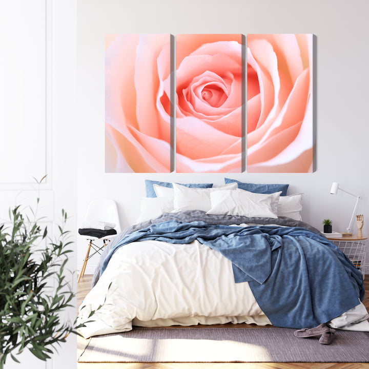 Seinapildid - Roosad pastelsetes toonides, N-3813