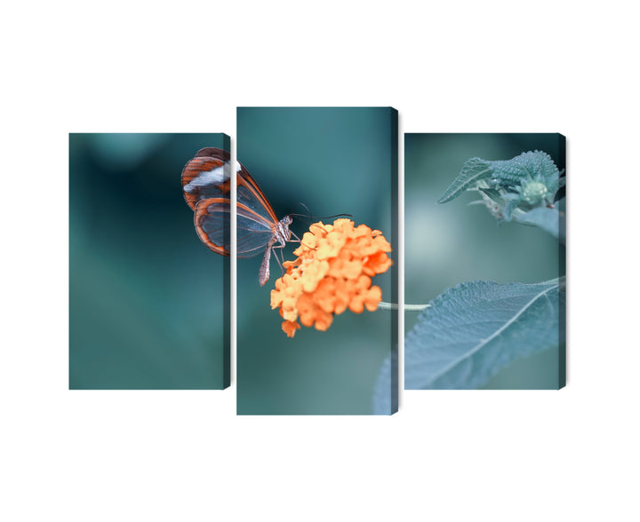 Kanva - Tauriņš vasaras dārzā, N-3829