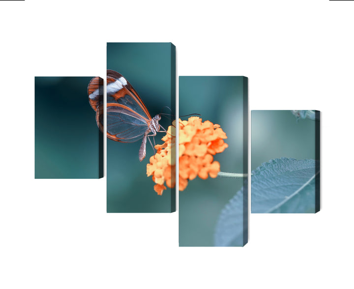 Kanva - Tauriņš vasaras dārzā, N-3831