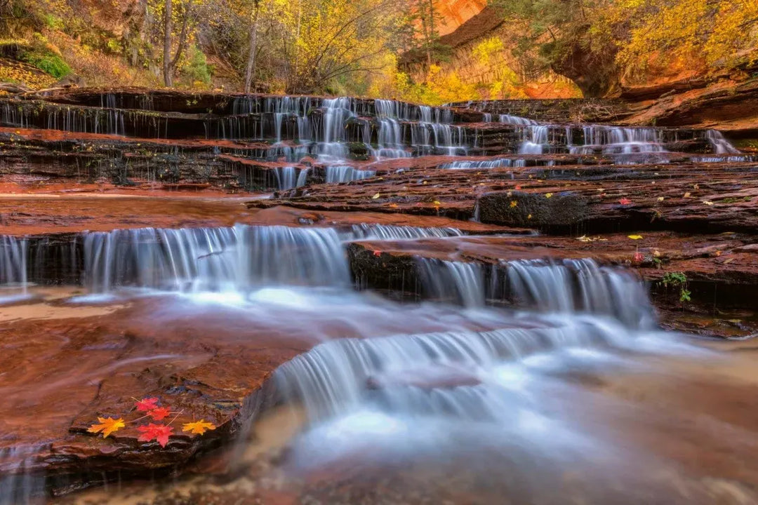 Wall Murals With Nature - Golden Autumn Waterfall, 375x250 cm