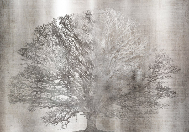 Wall Murals - Silver Oak, 148777