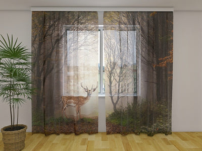 Curtains with nature - Small deer in the autumn forest Tapetenshop.lv