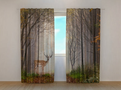 Curtains with nature - Small deer in the autumn forest Tapetenshop.lv