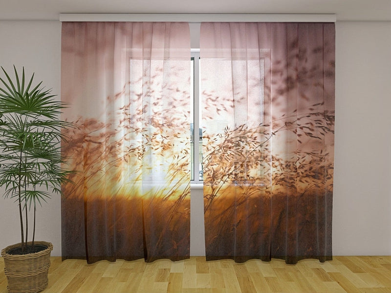 Curtains with nature - Summer sunset over the grass Tapetenshop.lv