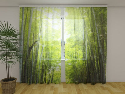 Day and night curtains with green nature - bamboo forest at sunset on walletenshop.lv