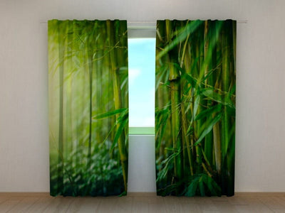 Day and night curtains with natural print - bamboo forest in green Tapetenshop.lv