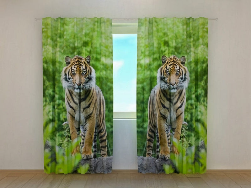 Day and night curtains for bedroom - two tigers in a lush green environment on Tapetenshop.lv