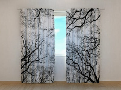 Day and night curtains with print: winter nature and February skies on Tapetenshop.lv