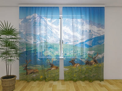 Day and night curtains - Mountain meadow Tapetenshop.lv