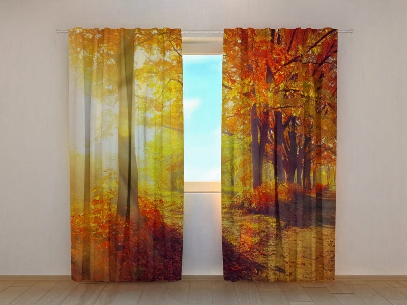 Curtains with a realistic image - Sunny Autumn Day in Park - Order Tapetenshop.lv