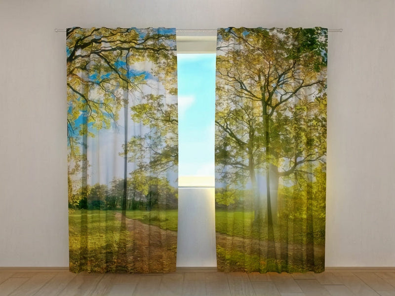 Curtains with nature - Sunny park - in soothing green tones Tapetenshop.lv