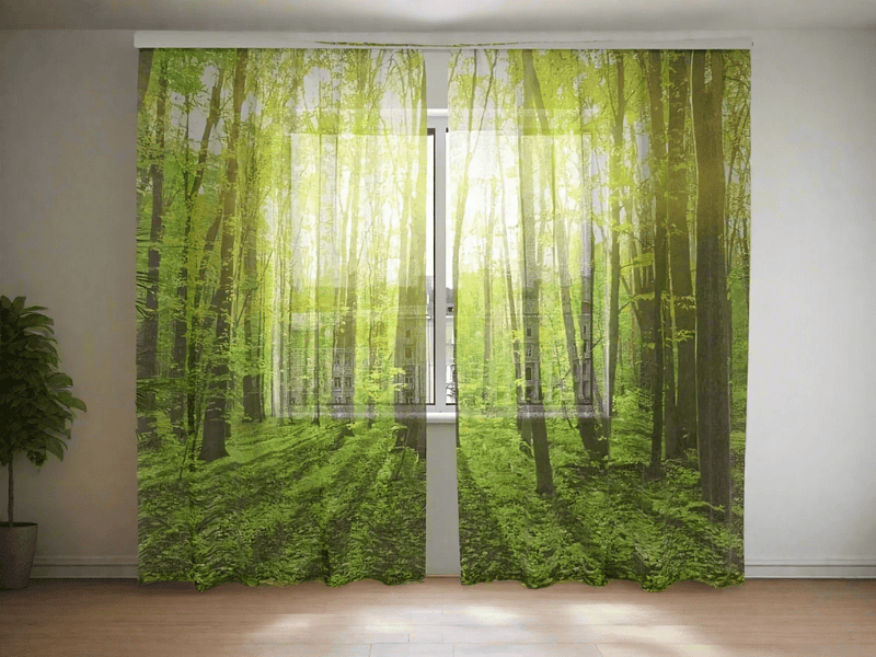 Photo by Printing - Nature and Forest in Green Tones - Order Tapetenshop.lv