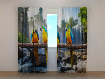 Curtains Three parrots Tapetenshop.lv