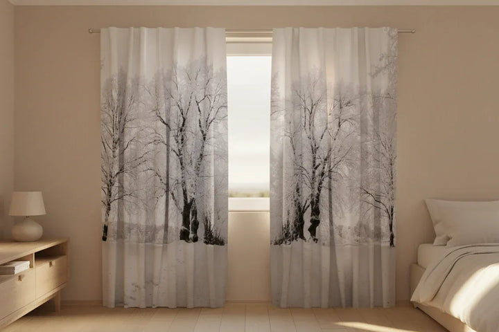 Aizkari ar ziemas ainavu - Ziemas ceļš Tapetenshop.lv