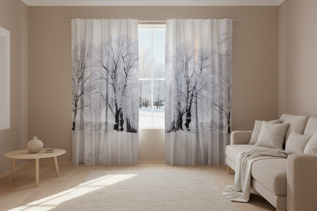 Curtains - Winter road