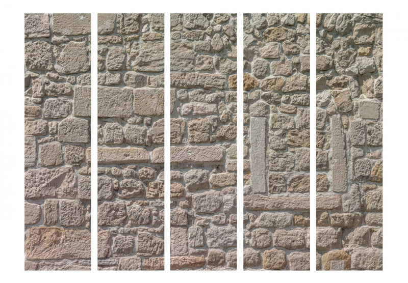 Aizslietnis ar akmens sienu - Akmens templis II, 95587, 225x172 cm ART