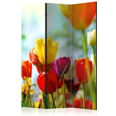 Aizslietnis Pavasara tulpes 135x172 cm ART