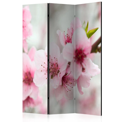 Aizslietnis Pavasaris, ziedošs koks - rozā ziedi 135x172 cm ART