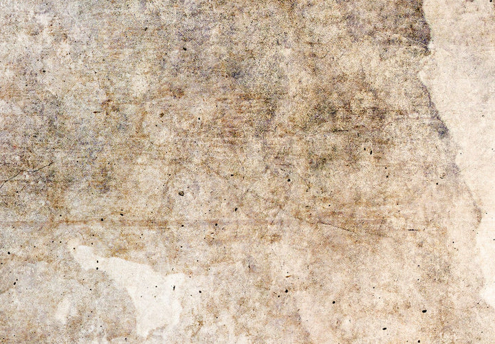 Aizslietnis - Rūsas tekstūra - abstrakcija pasteļbrūnos toņos, 225x172 cm ART