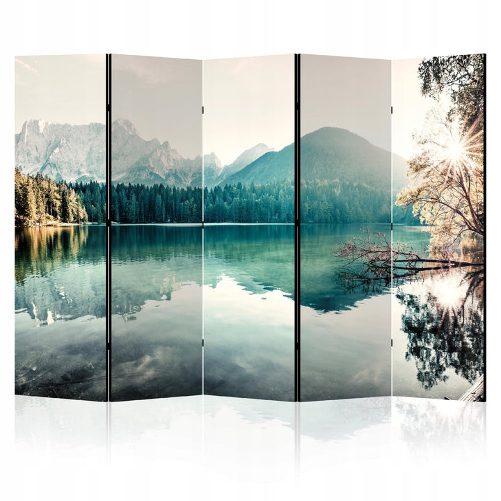 Aizslietnis, vienpusējs istabas sadalītājs, 225x172, Kalnu ainava (zilganie un meža zaļie toņi) L-ART