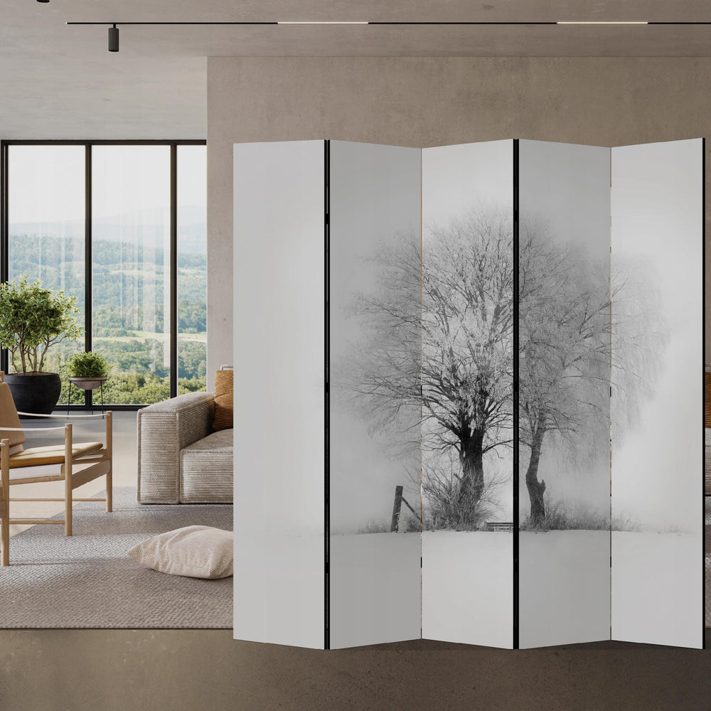 Dekoratīvais aizslietnis, vienpusējs istabas sadalītājs, 225x172, Ziemas rīta gaisma L-ART
