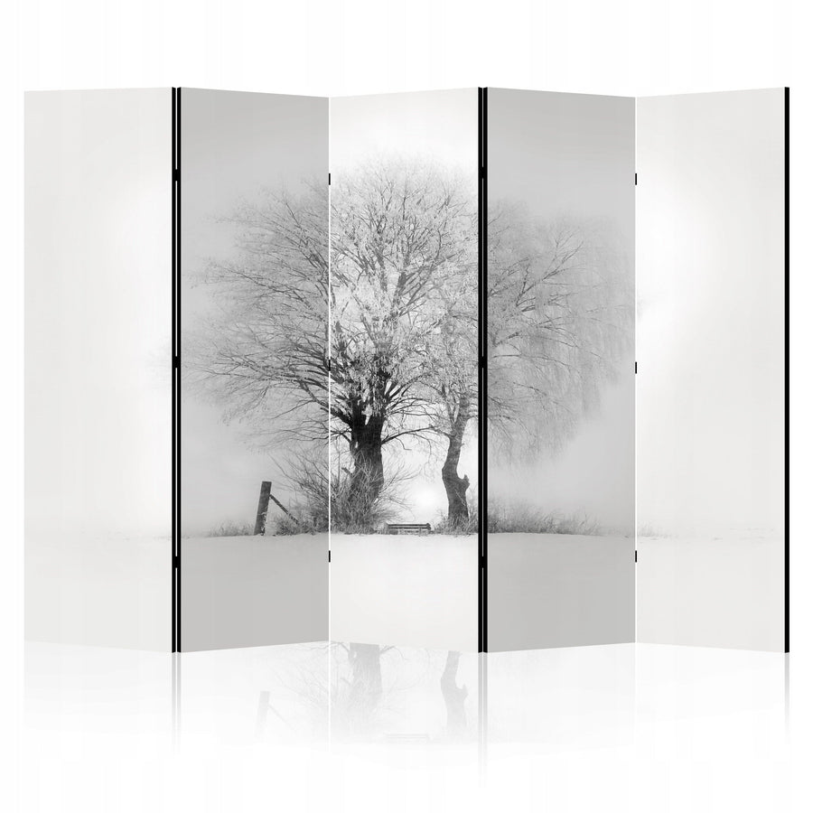 Dekoratīvais aizslietnis, vienpusējs istabas sadalītājs, 225x172, Ziemas rīta gaisma L-ART