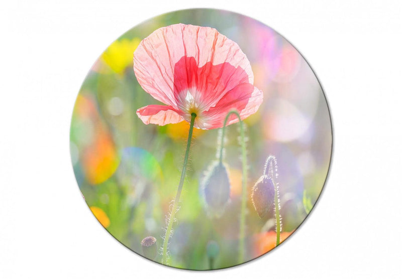 Apaļa kanva ar ziediem (Deluxe) - Pavasara dārzs, 148627 G-ART