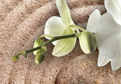 Apaļa kanva (Deluxe) - Japāņu kompozīcija ar baltām orhidejām uz smiltīm, 148764 G-ART