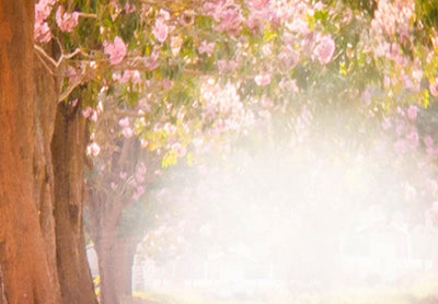 Apaļa kanva (Deluxe) - Koki ar rozā lapām saules gaismā, 148631 G-ART