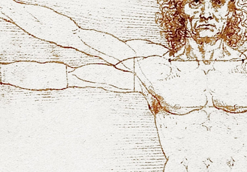 Apaļa Glezna (Deluxe) - Leonardo da Vinči Vitruvijas cilvēks, 148733 Tapetenshop.lv