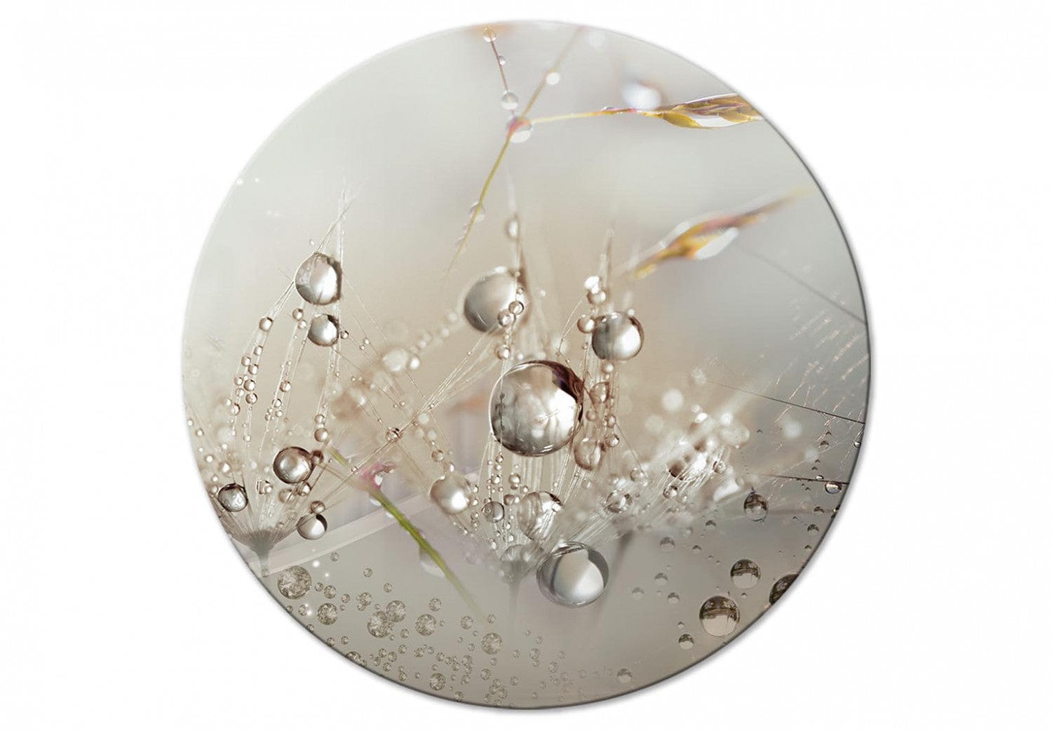 Apaļa glezna - Rasas pilieni - Zāle un pienenes lietū - 148750 G-ART