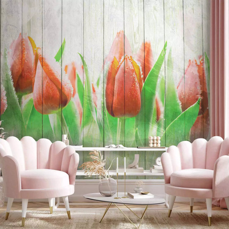 Wall Murals 60339 red tulips on wood