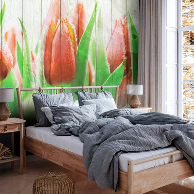 Wall Murals 60339 red tulips on wood