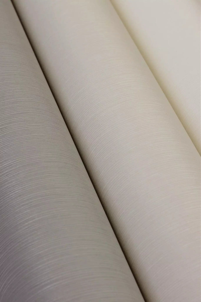 White wallpaper RASCH with fine texture, 653212 RASCH