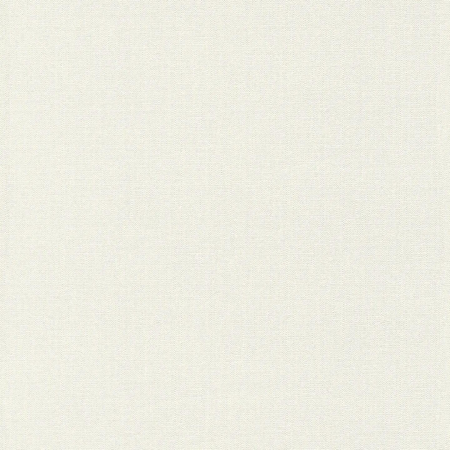 Baltas vienkrāsainas tapetes, matētas ar putu struktūru 372681 AS Creation